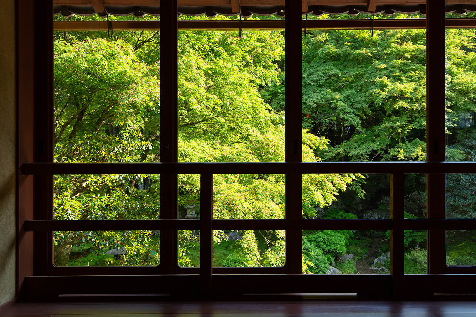 旧竹林院　その１_a0003166_11292630.jpg