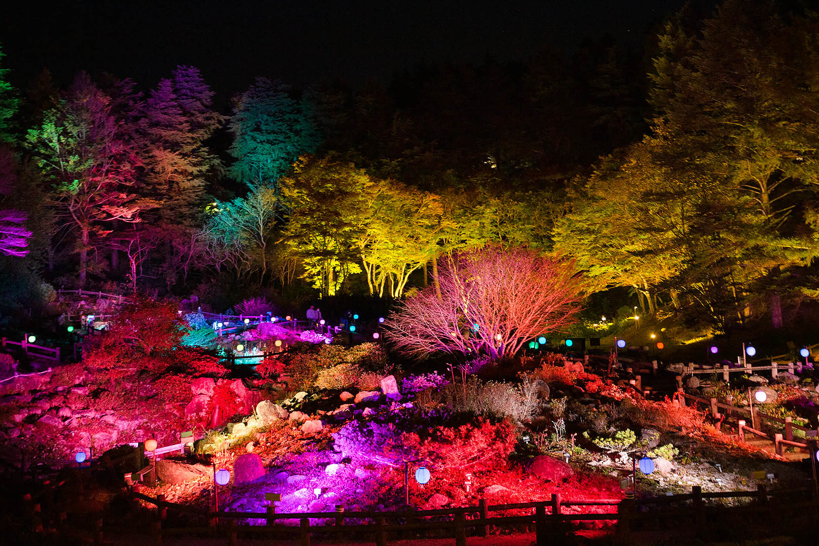 六甲 高山植物園など_a0003166_11305561.jpg