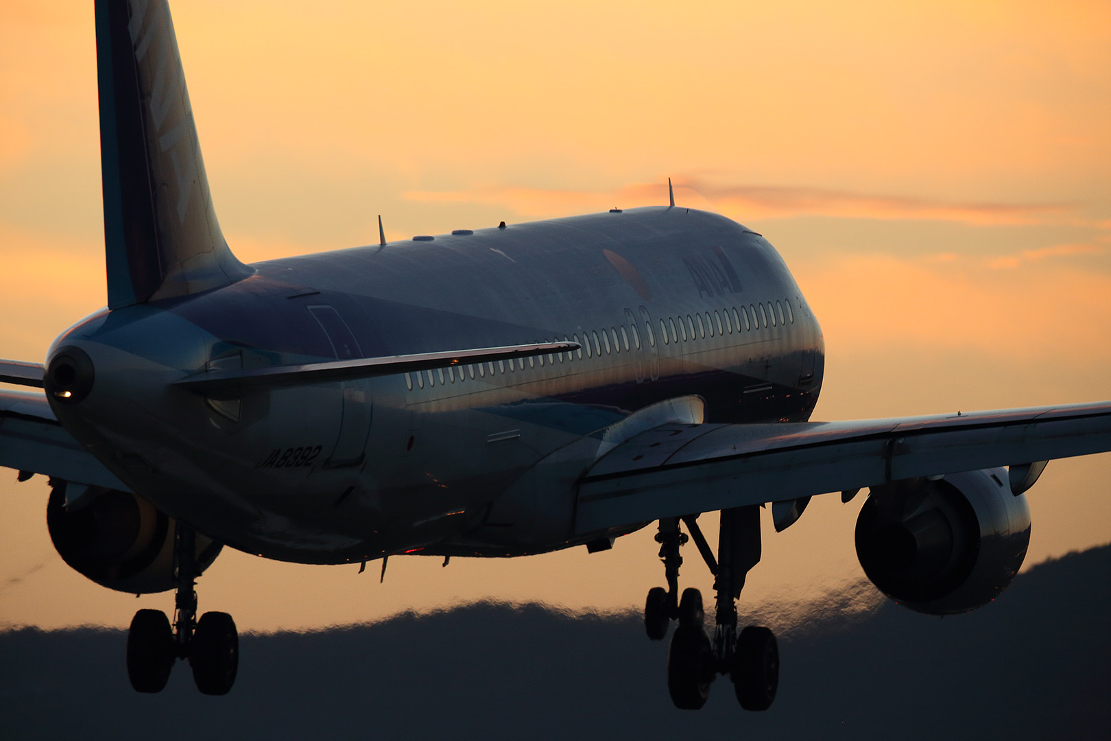 飛行機 （伊丹空港、千里川）_a0003166_11312652.jpg