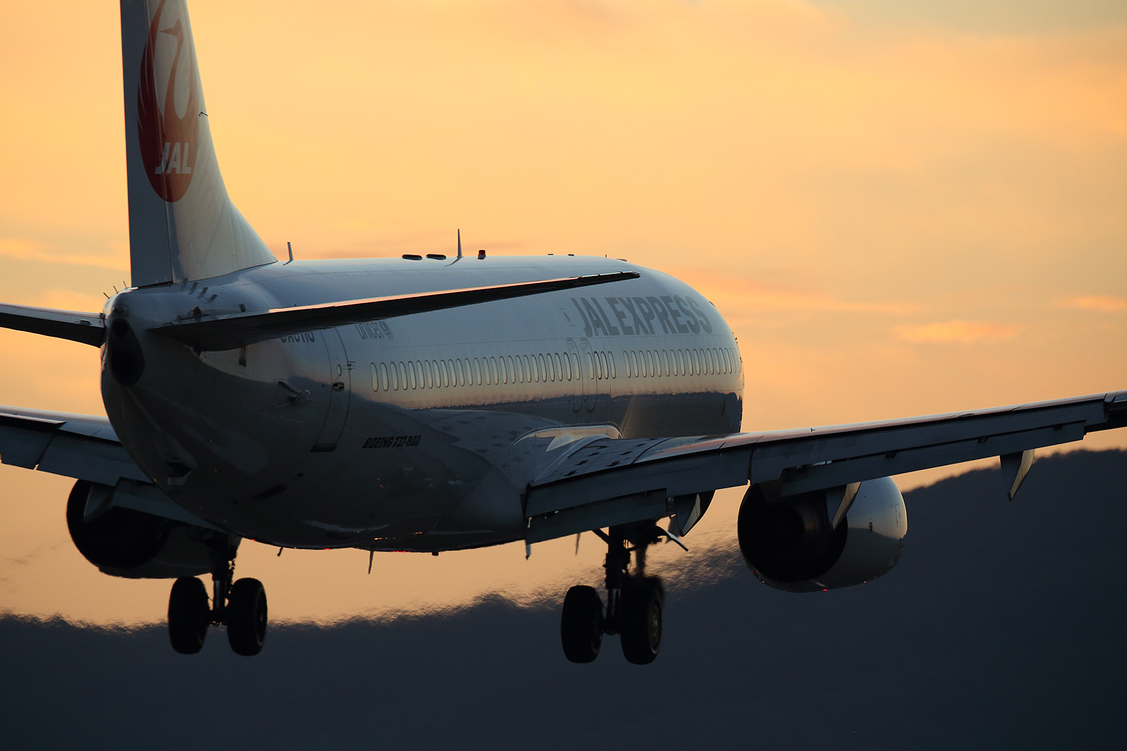 飛行機 （伊丹空港、千里川）_a0003166_11315561.jpg