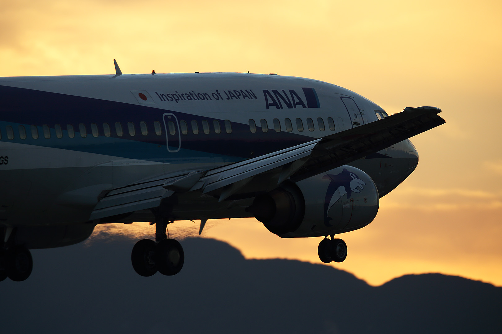 飛行機 （伊丹空港、千里川）_a0003166_1132271.jpg