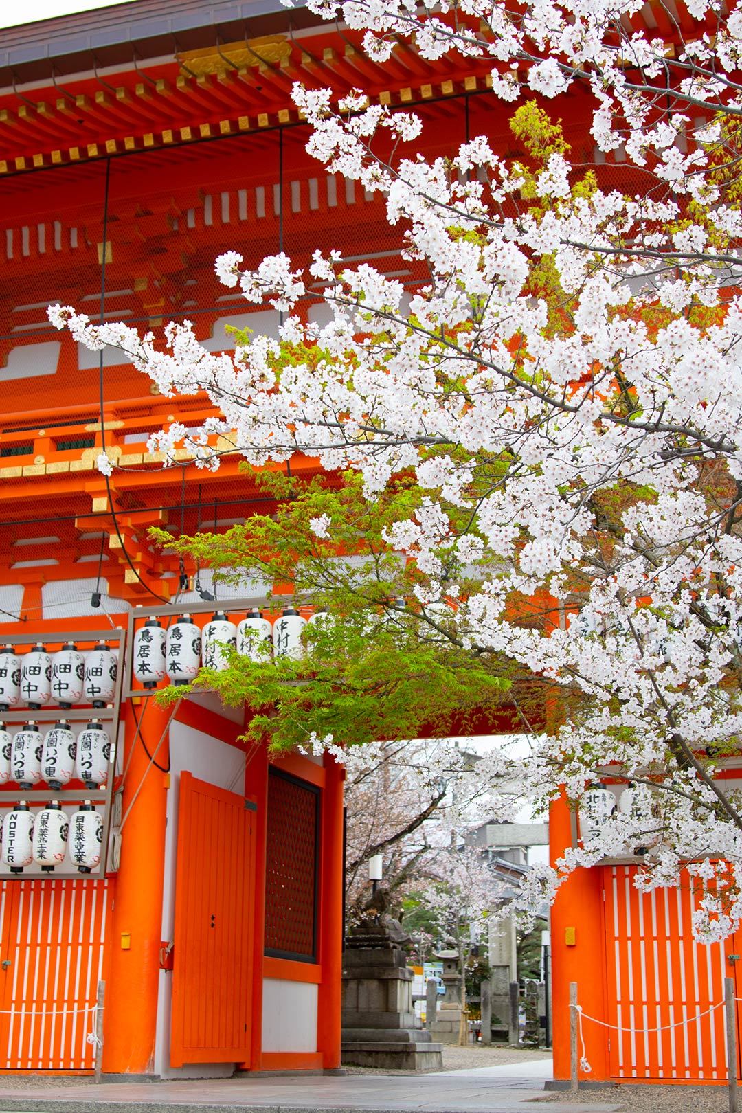 京都_a0003166_11331981.jpg