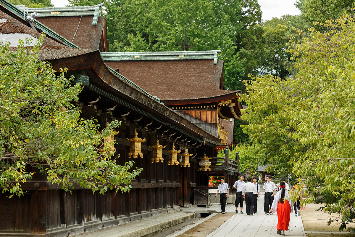 京都 （金閣寺、北野天満宮、二条城）_a0003166_1135039.jpg