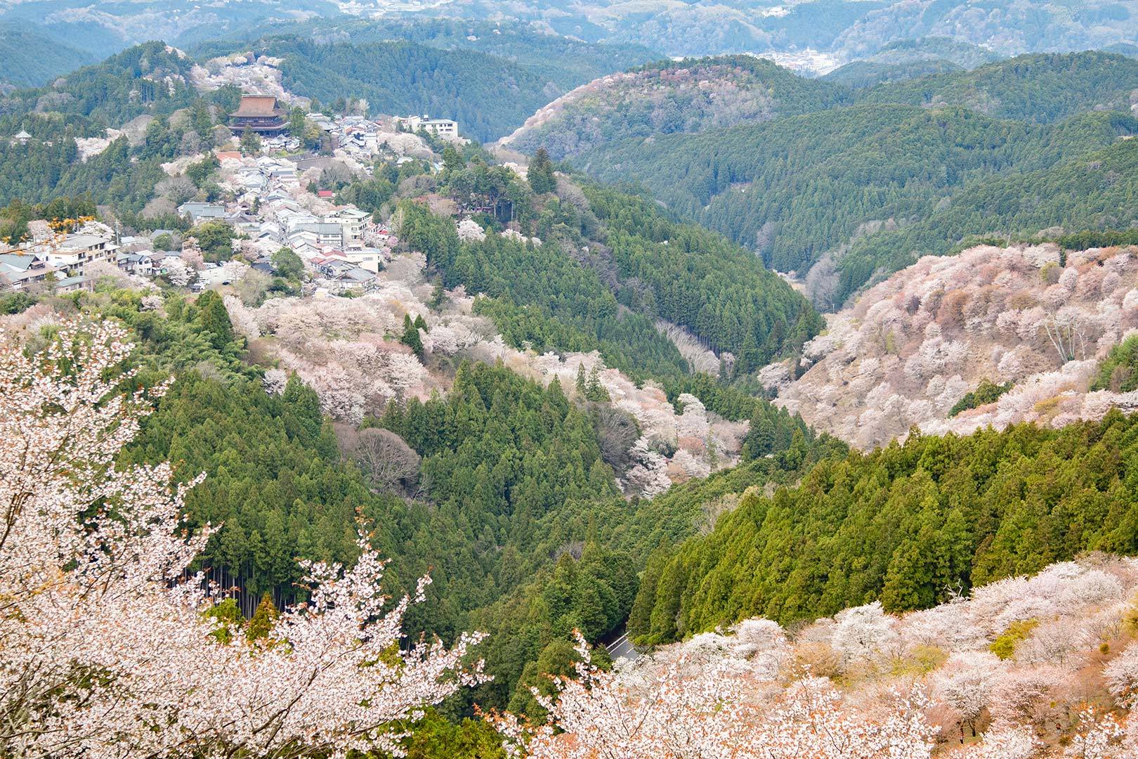 吉野　その１_a0003166_11403408.jpg