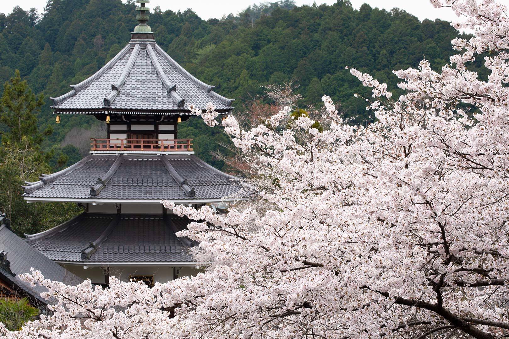 吉野　その４　金峯山寺_a0003166_11460961.jpg