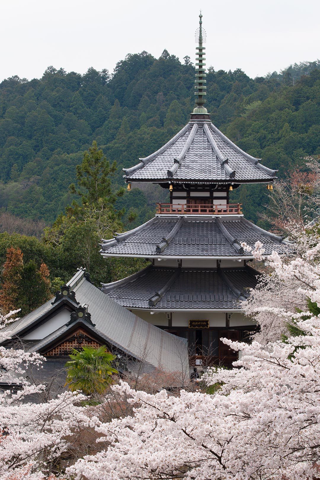 吉野　その４　金峯山寺_a0003166_11461751.jpg