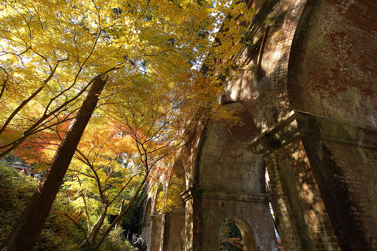 南禅寺、天授庵　紅葉_a0003166_11475095.jpg