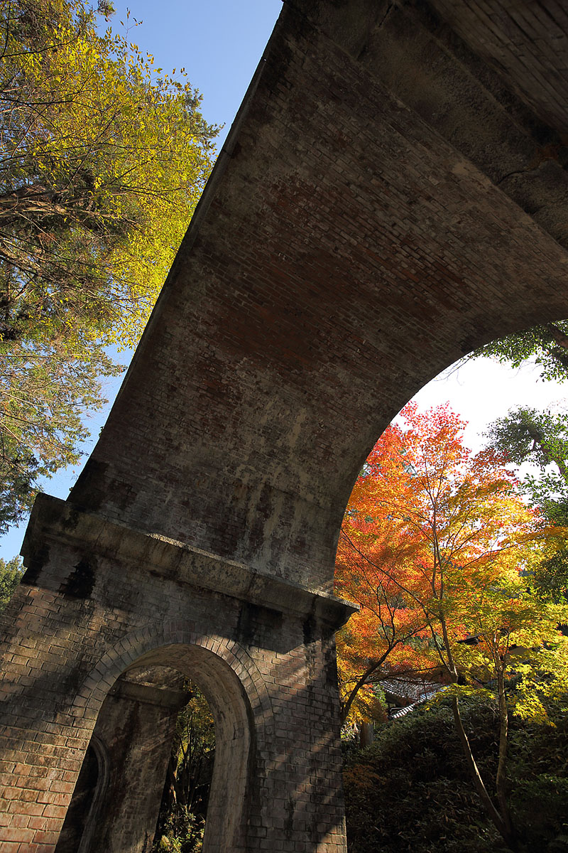 南禅寺、天授庵　紅葉_a0003166_11475727.jpg