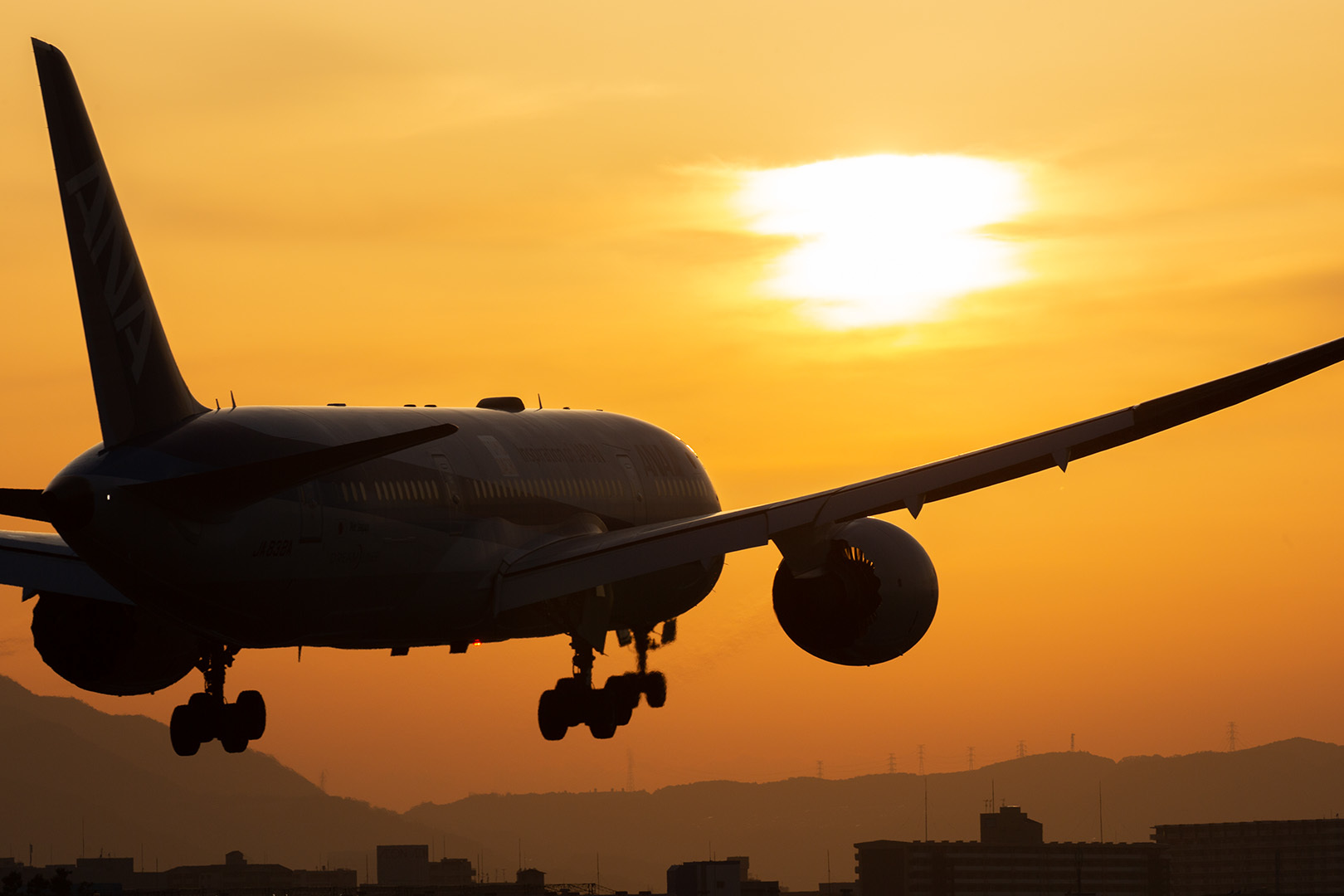 大阪空港 伊丹空港 夕焼け_a0003166_11481064.jpg