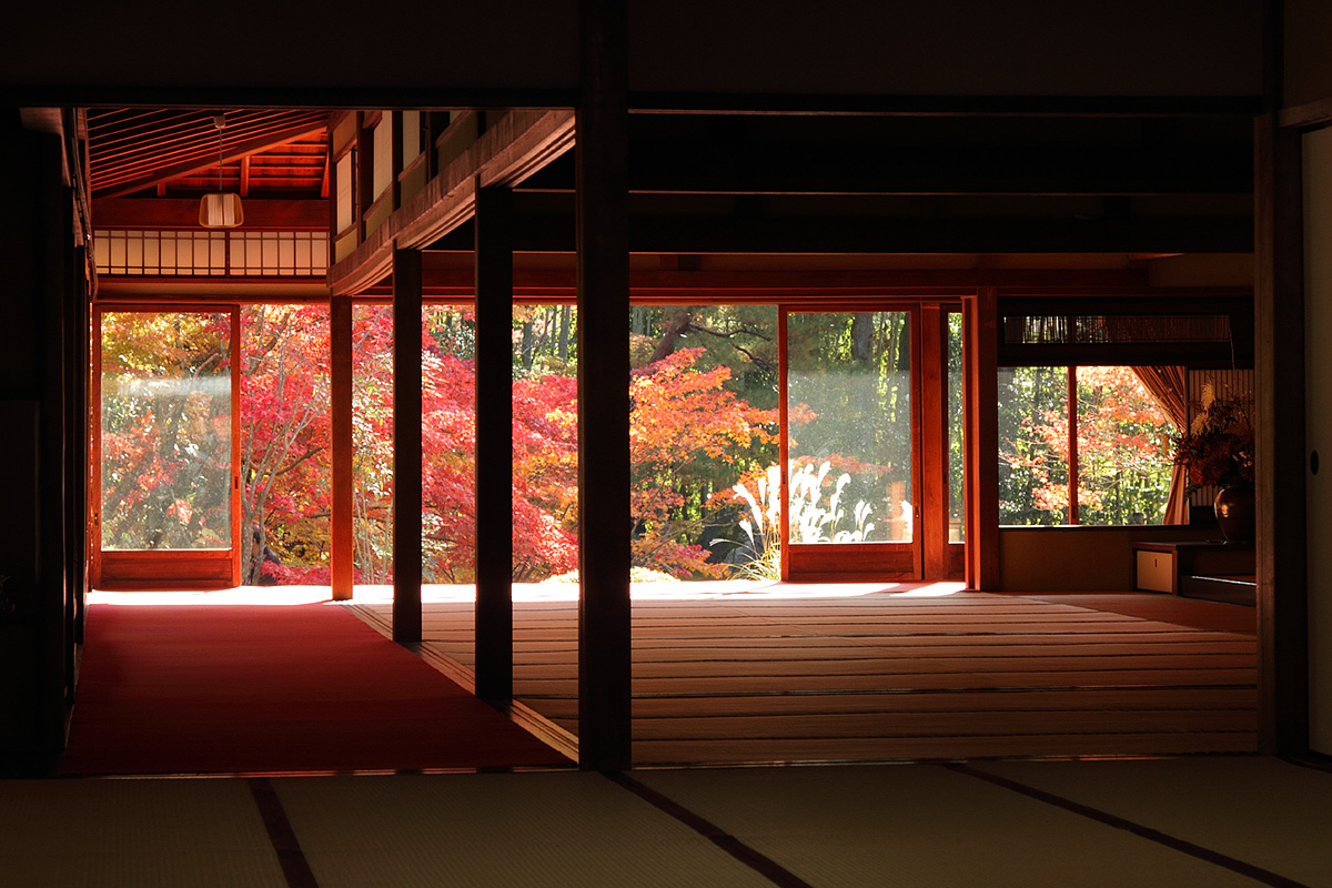 南禅寺、天授庵　紅葉_a0003166_11481477.jpg