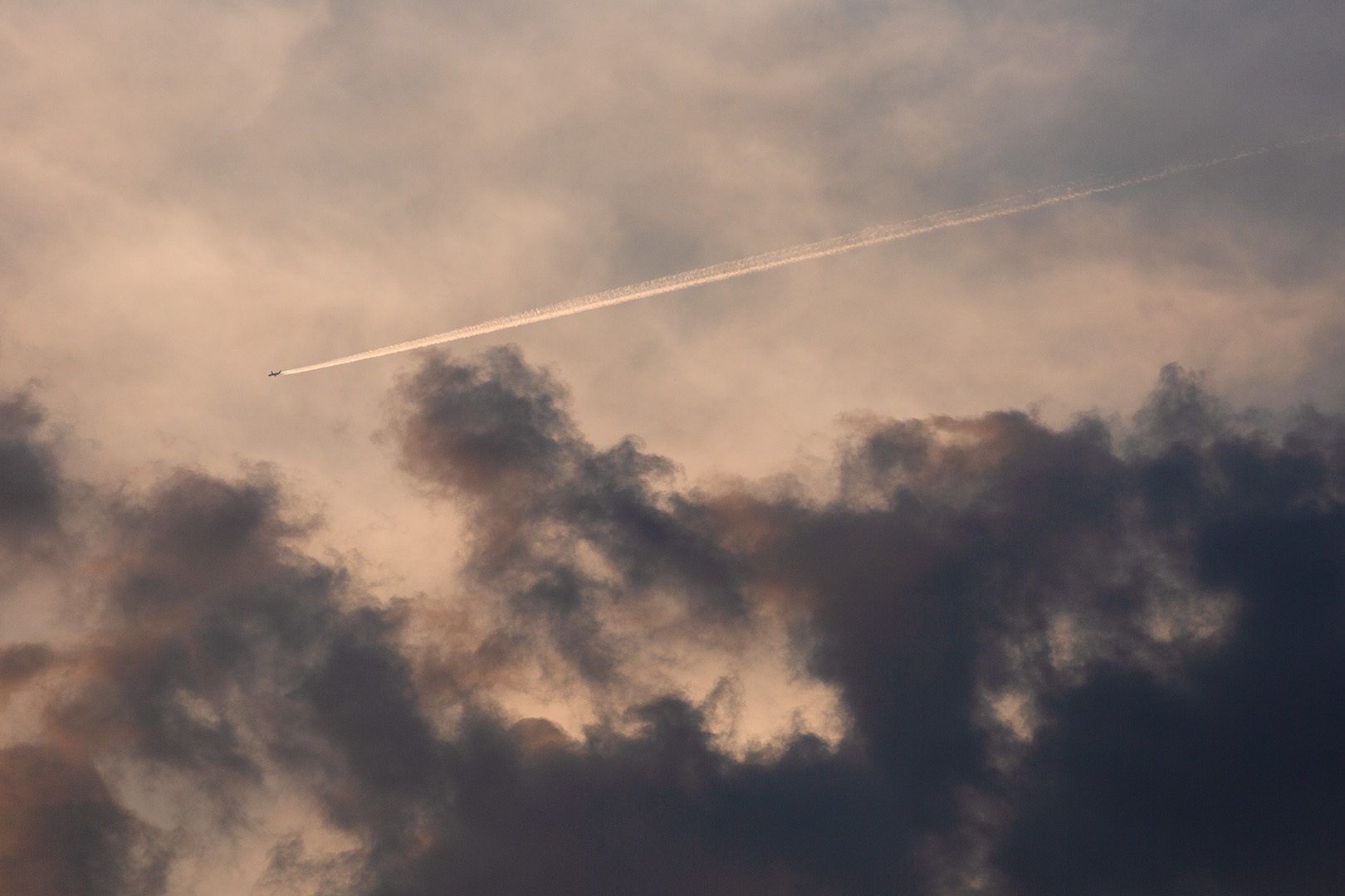 夕焼け　飛行機_a0003166_11530405.jpg