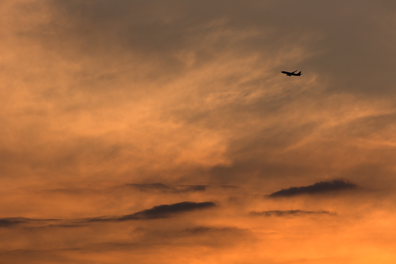 夕焼け　飛行機_a0003166_11530451.jpg