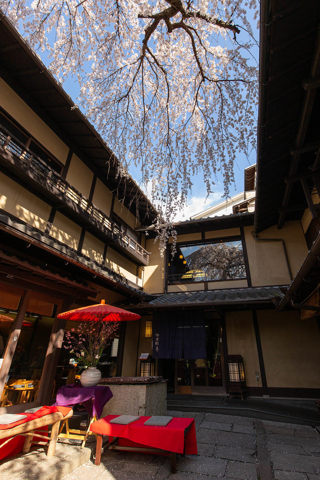 桜　三年坂_a0003166_11531943.jpg
