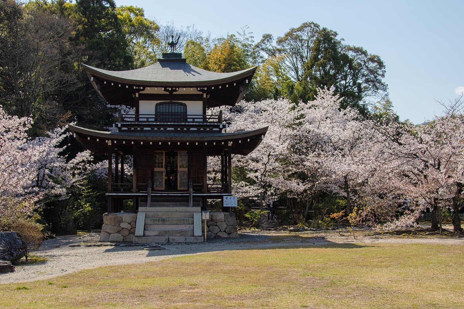 観修寺_a0003166_11535417.jpg