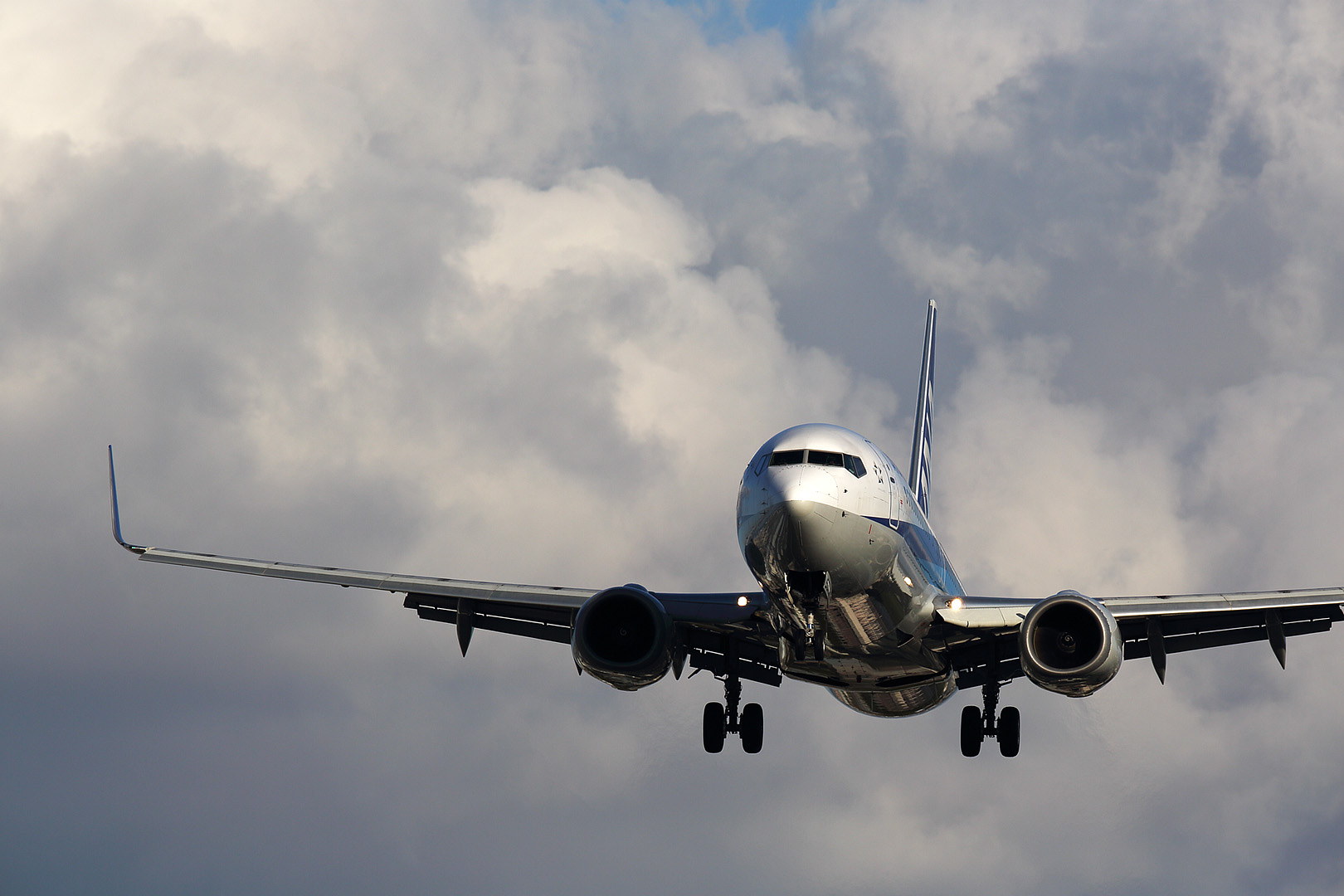 飛行機　（伊丹空港 千里川 6/6）_a0003166_11573212.jpg