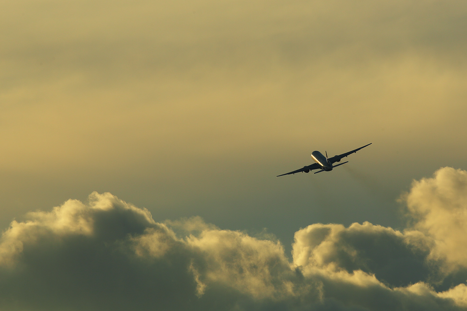 飛行機　（伊丹空港 千里川 6/6）_a0003166_11573393.jpg