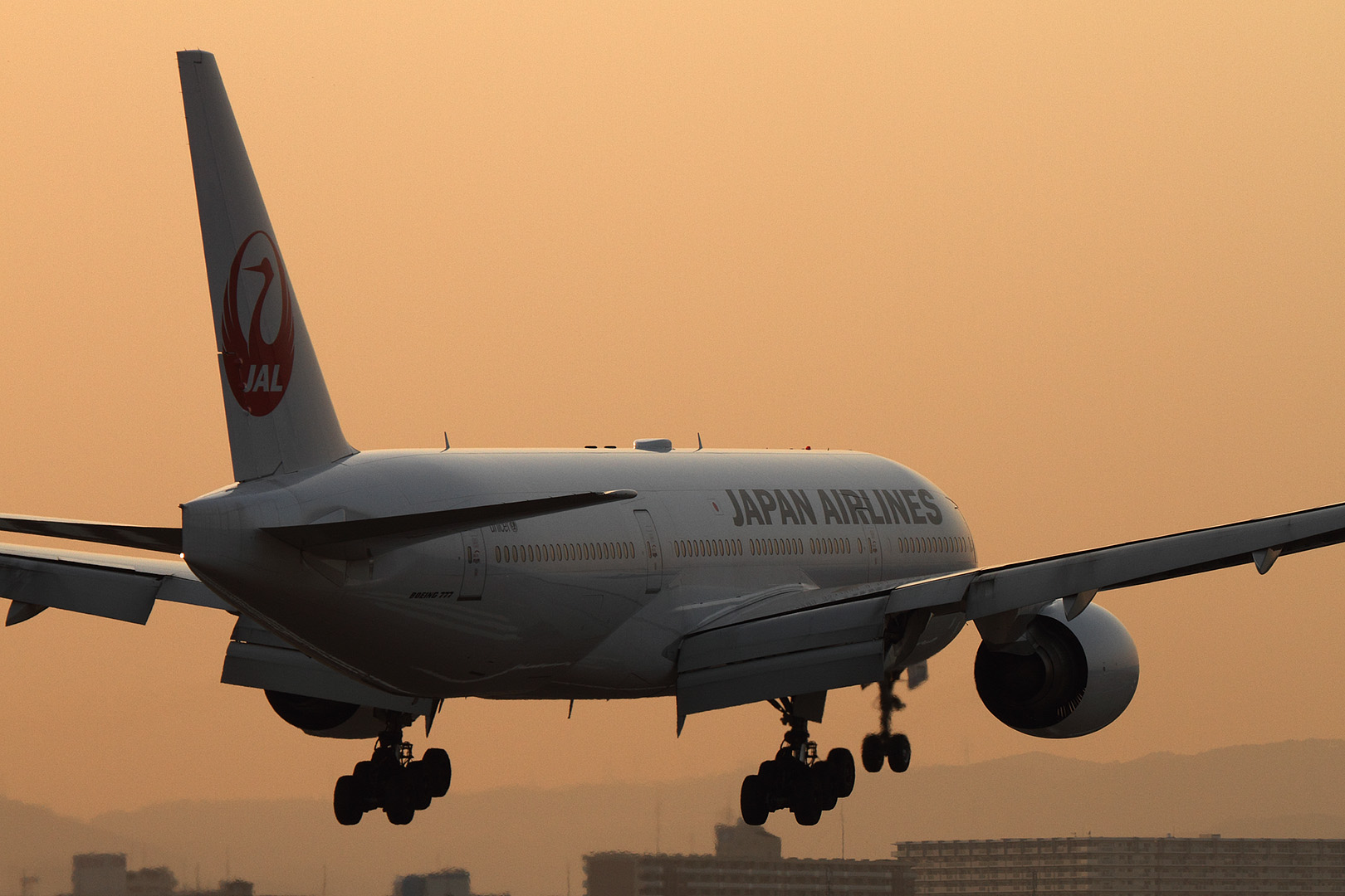 飛行機（千里川　3/21）_a0003166_1182422.jpg