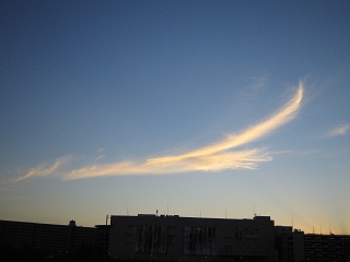 火の鳥_a0003166_1182492.jpg
