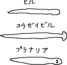 ヒルズ族_a0003166_1192573.gif
