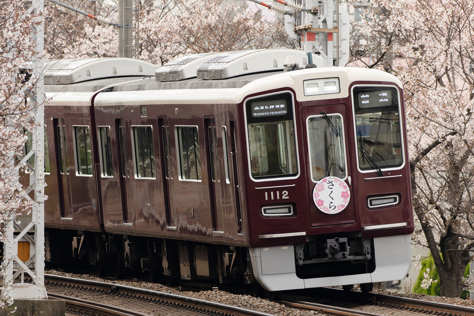 阪急電車　さくらヘッドマーク（庄内駅近く）_a0003166_12032532.jpg
