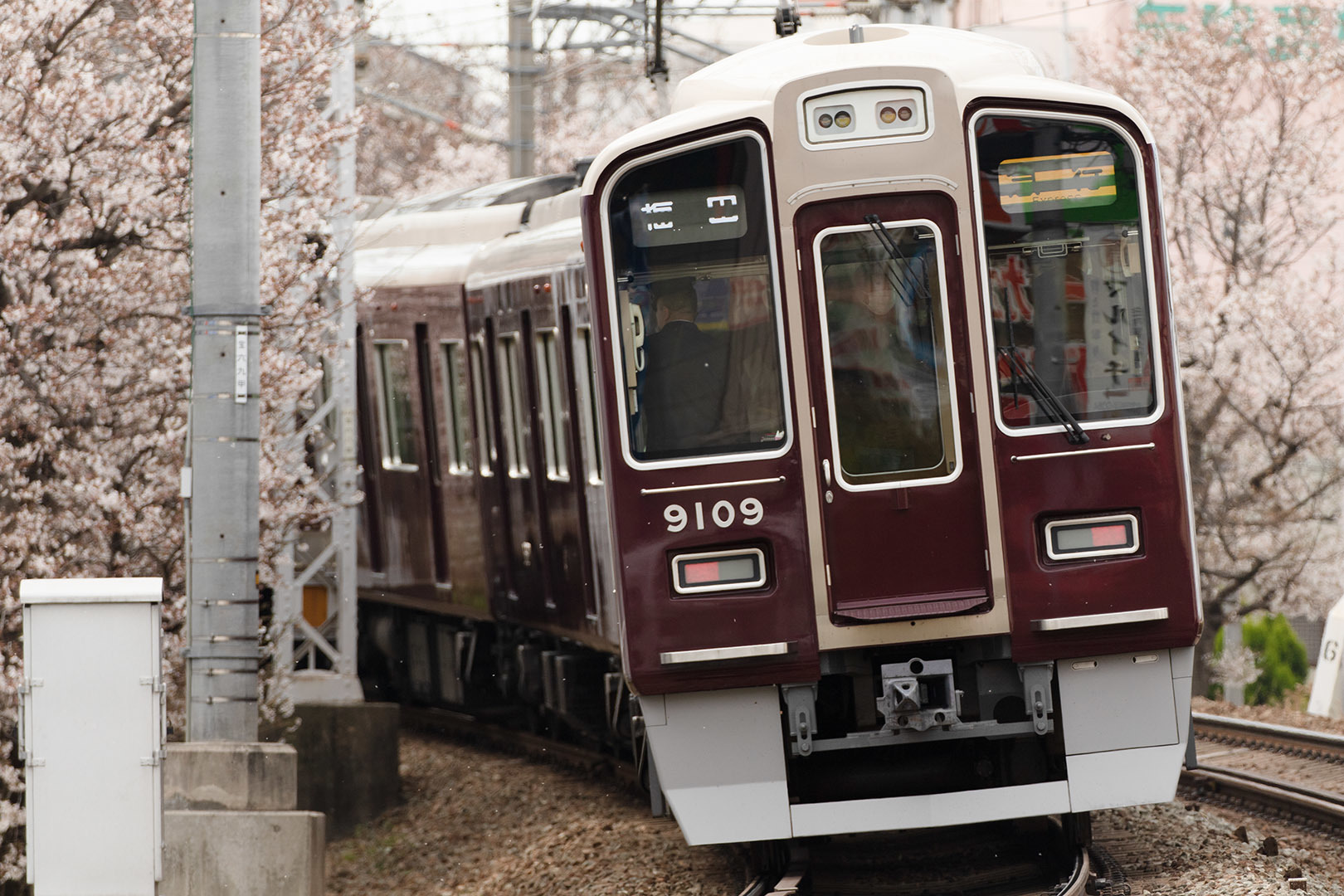 阪急電車　さくらヘッドマーク（庄内駅近く）_a0003166_12032836.jpg