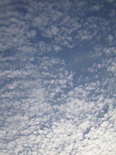 ふわふわ_a0003166_12062.jpg