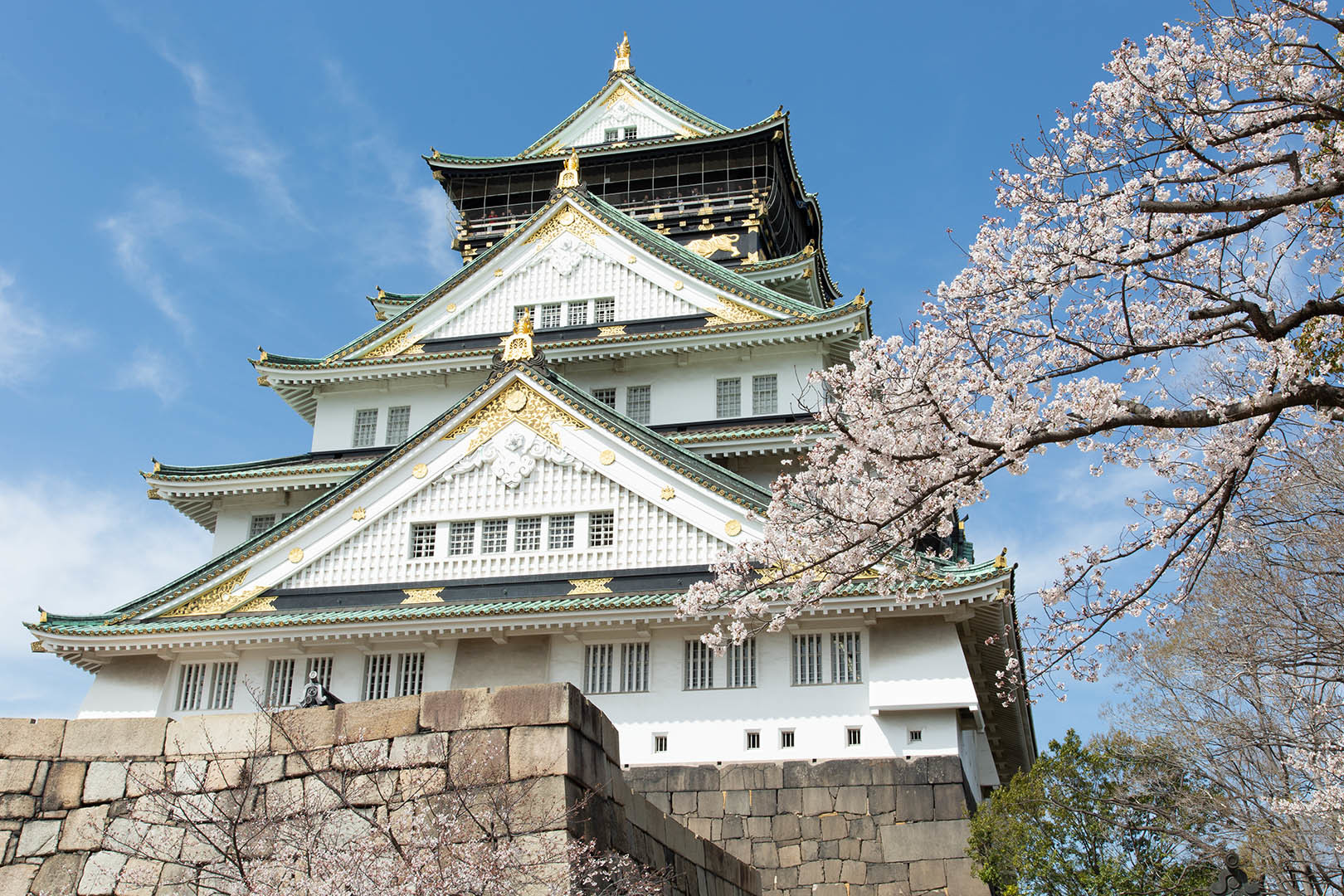 桜 大阪城_a0003166_12074730.jpg