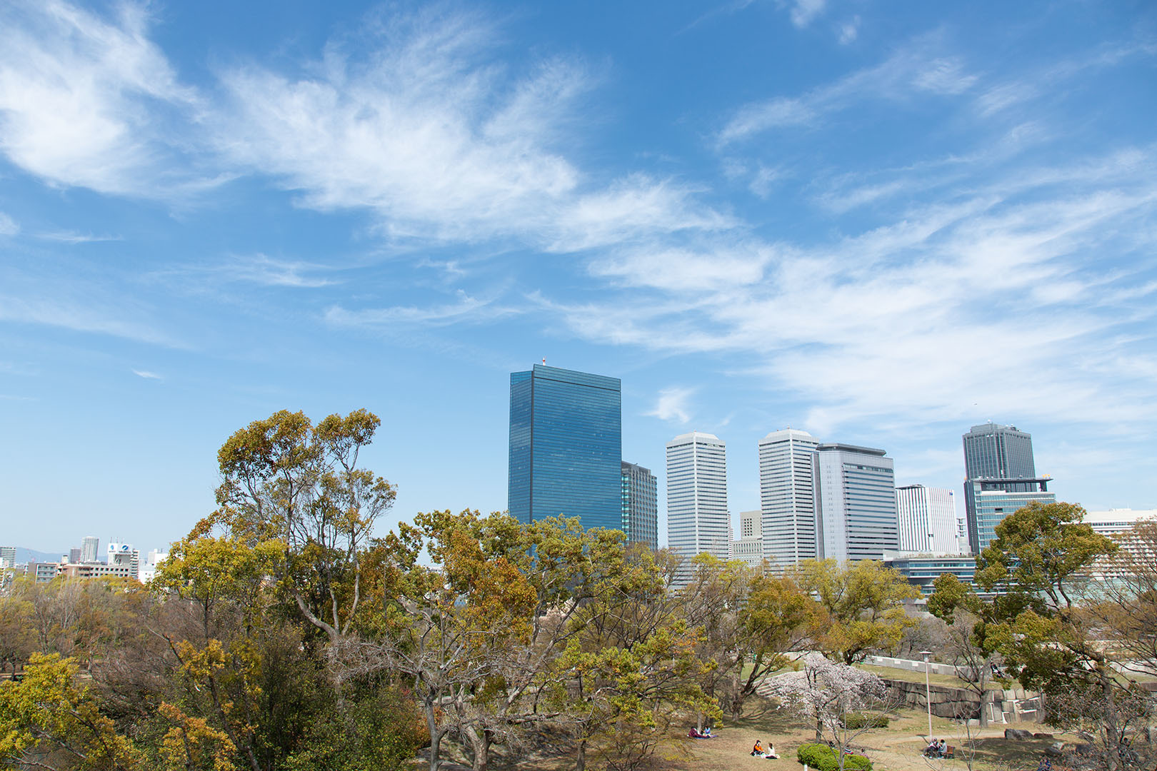 桜 大阪城_a0003166_12074769.jpg