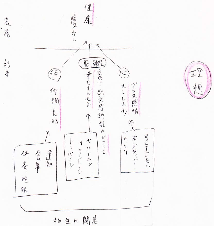 理想の健康状態_a0003166_12080668.jpg