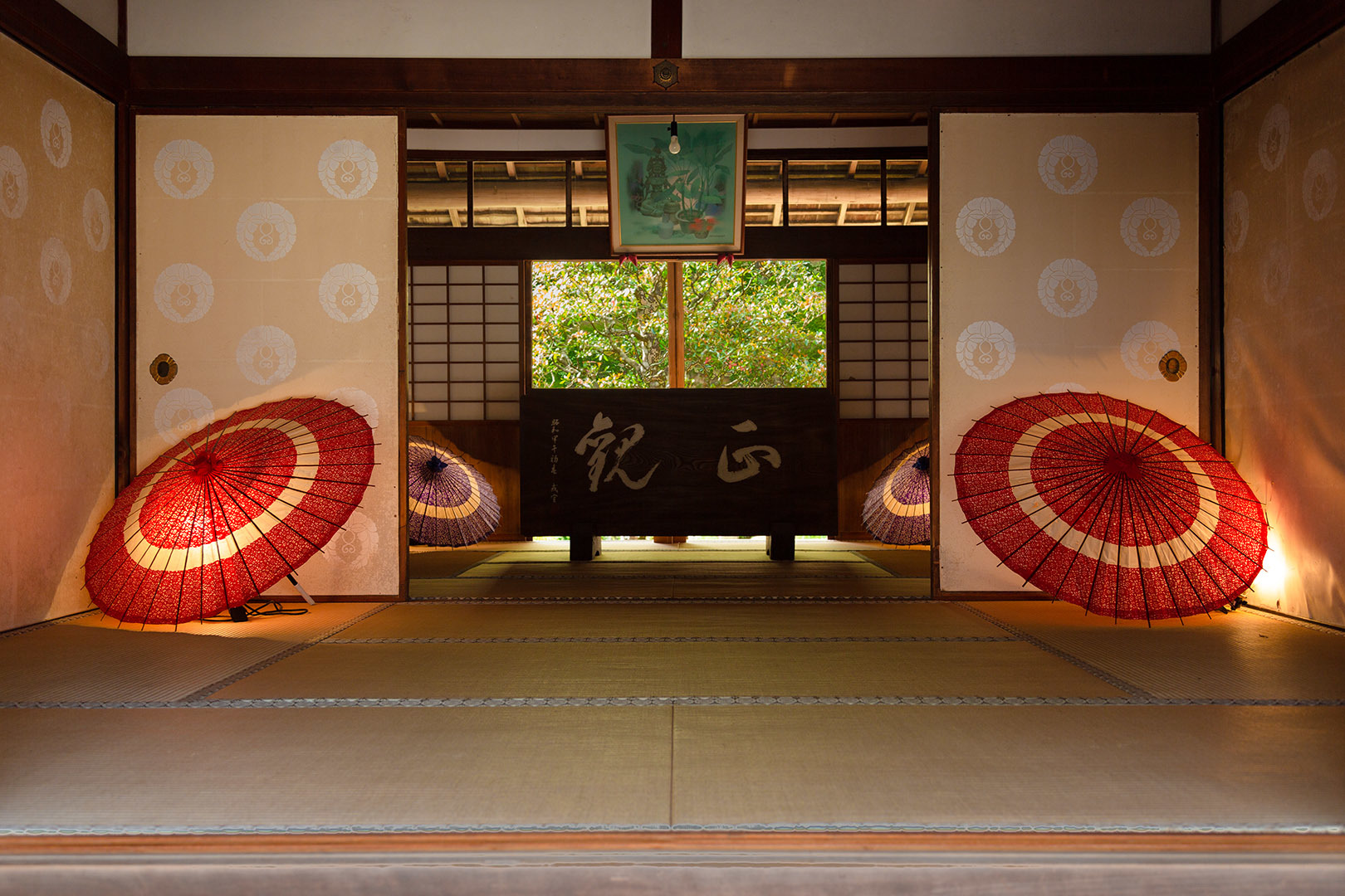 アジサイ（楊谷寺）_a0003166_12085549.jpg