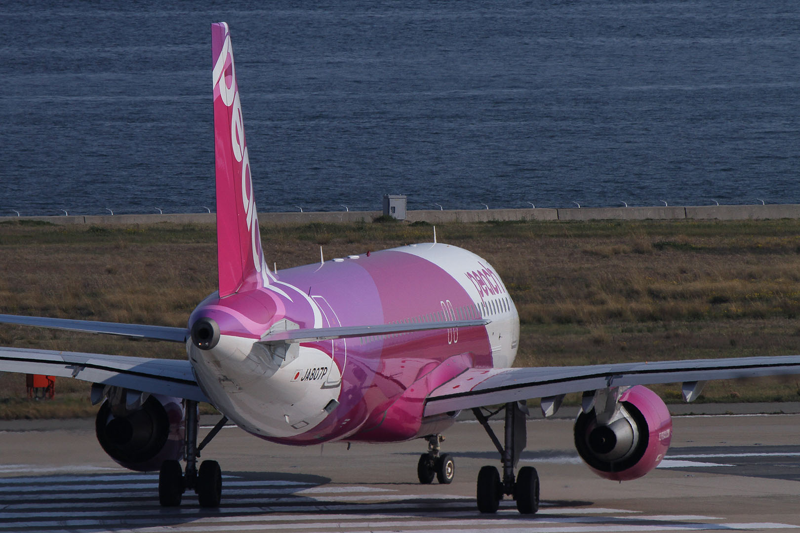 飛行機 （関空、展望ホール、Ａ３２０）_a0003166_1213643.jpg