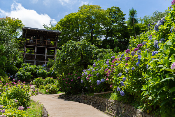 善峯寺_a0003166_12152720.jpg