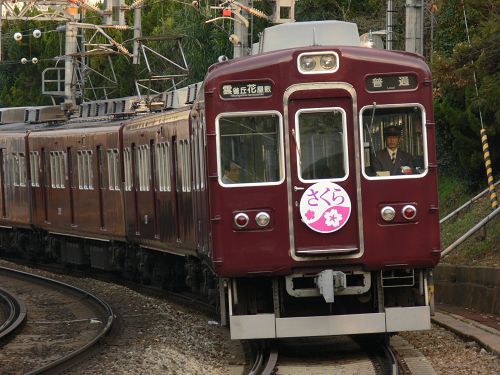 さくら_a0003166_121736.jpg