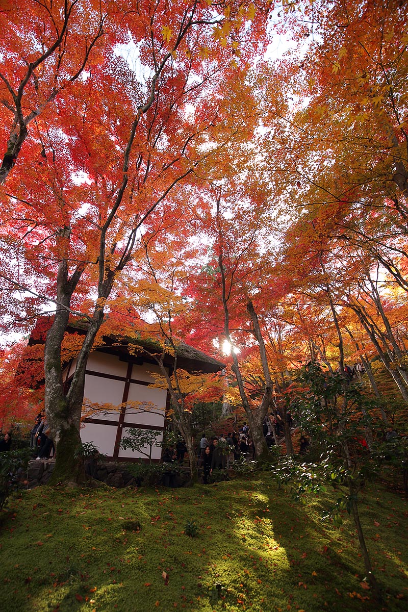 常寂光寺 紅葉_a0003166_12185221.jpg
