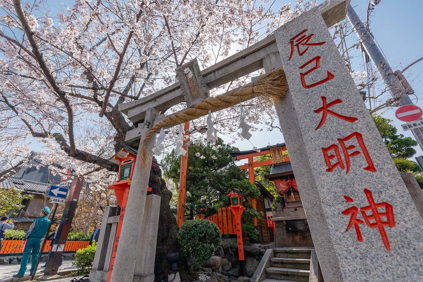 桜 辰巳大明神_a0003166_12211622.jpg