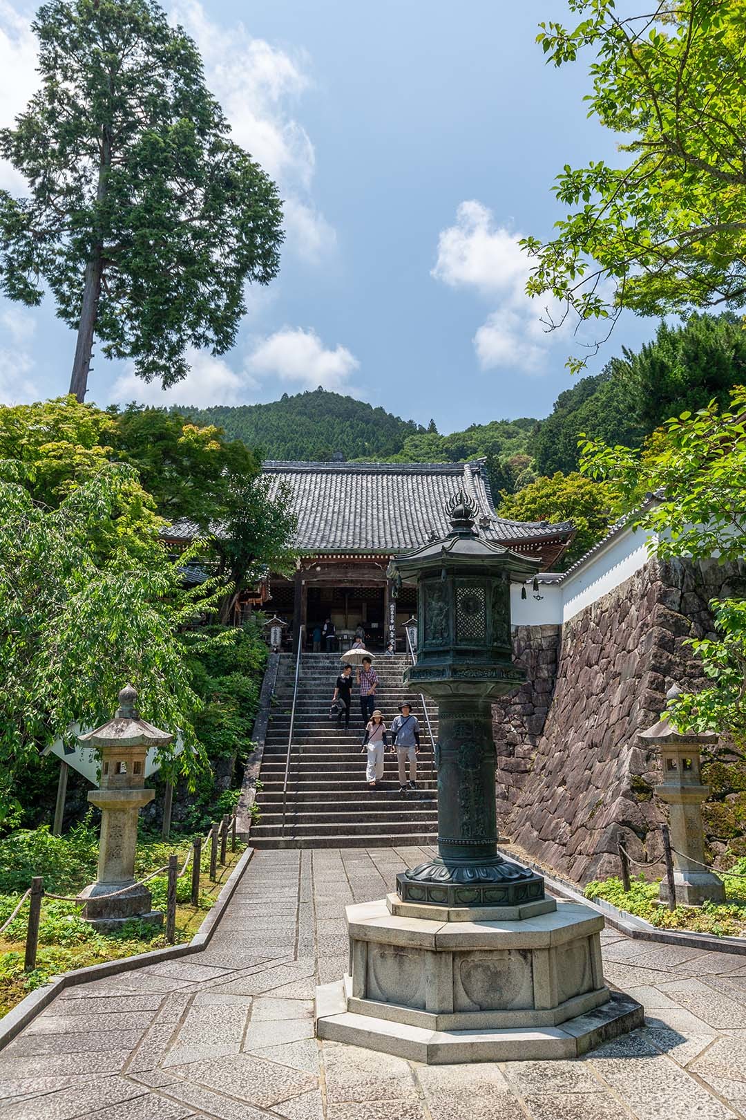 アジサイ、善峯寺_a0003166_12220057.jpg