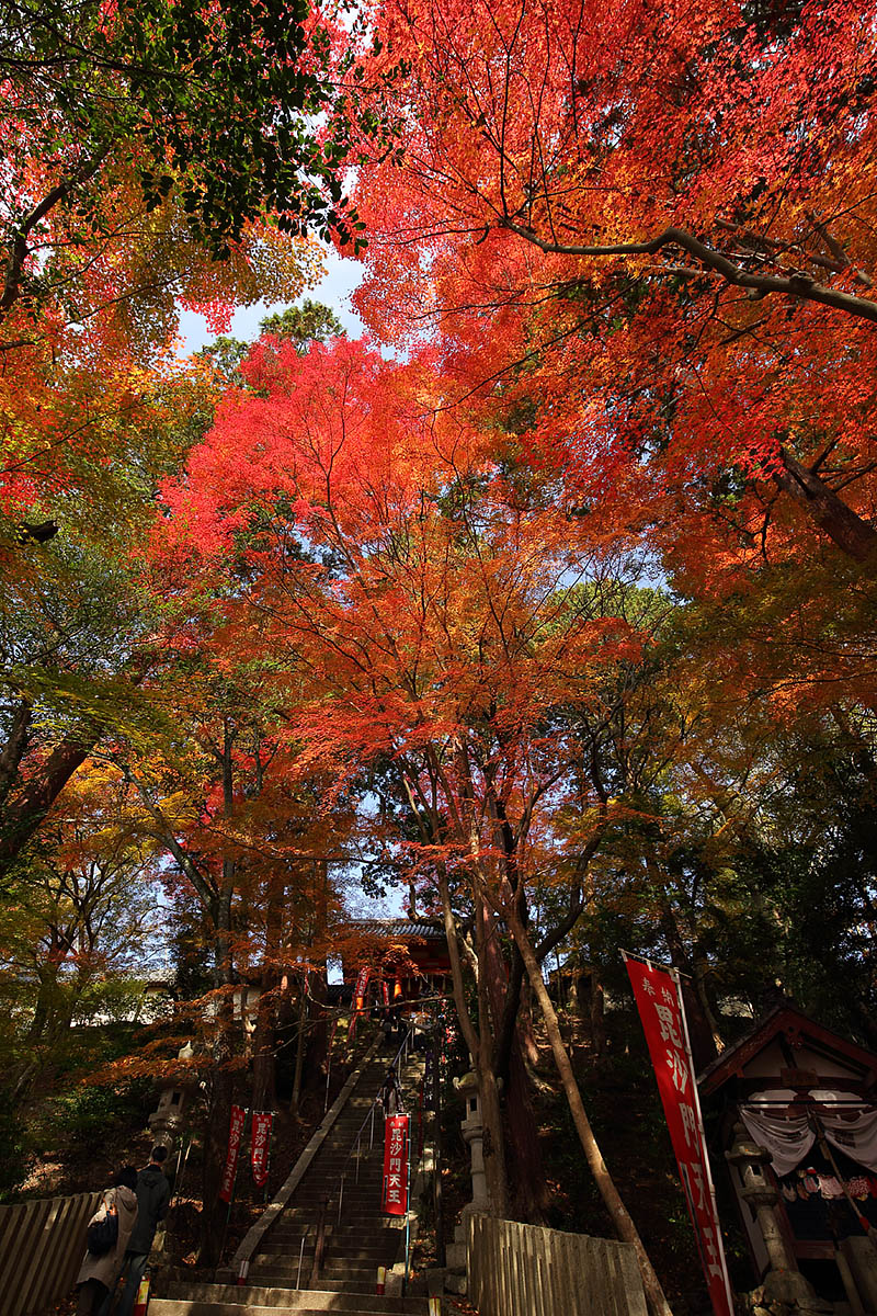 毘沙門天 紅葉_a0003166_12231150.jpg