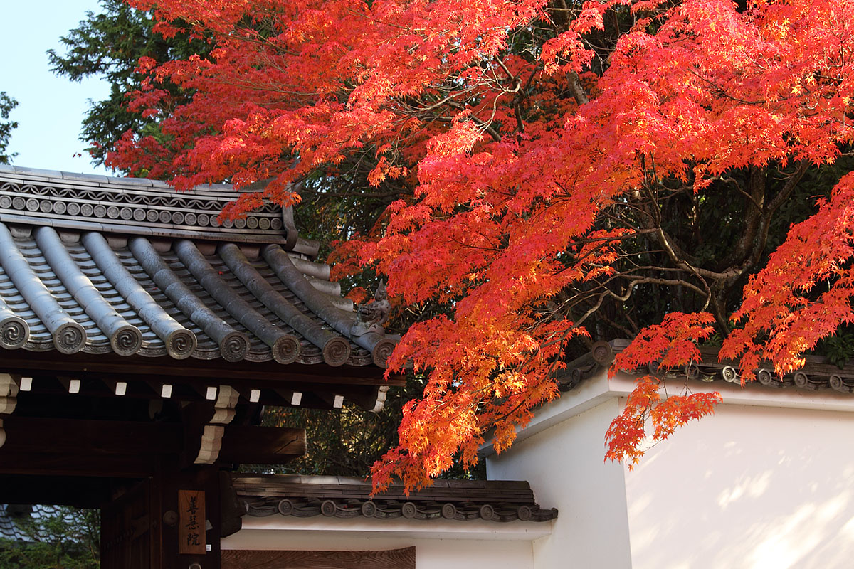 京都の景色_a0003166_12332630.jpg