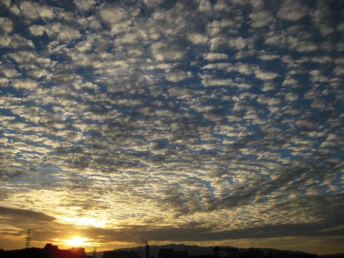 夕暮れ　飛行機_a0003166_12394970.jpg