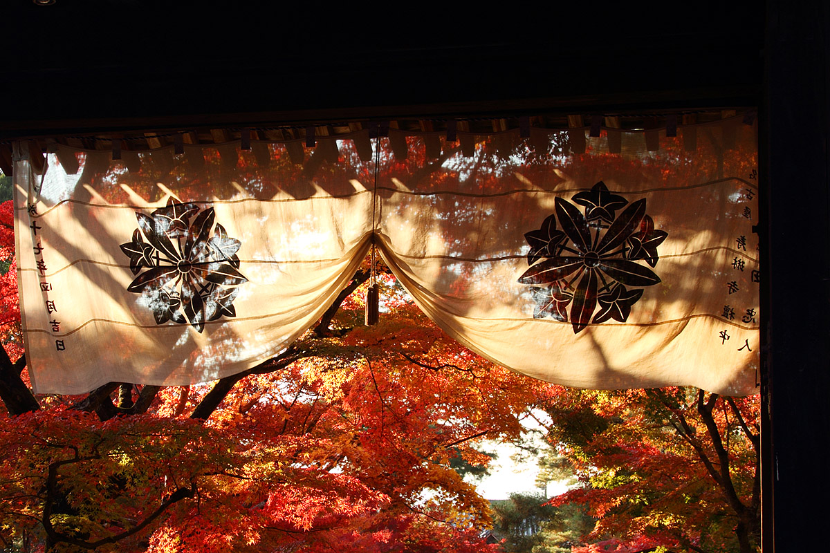 永観堂_a0003166_1242077.jpg