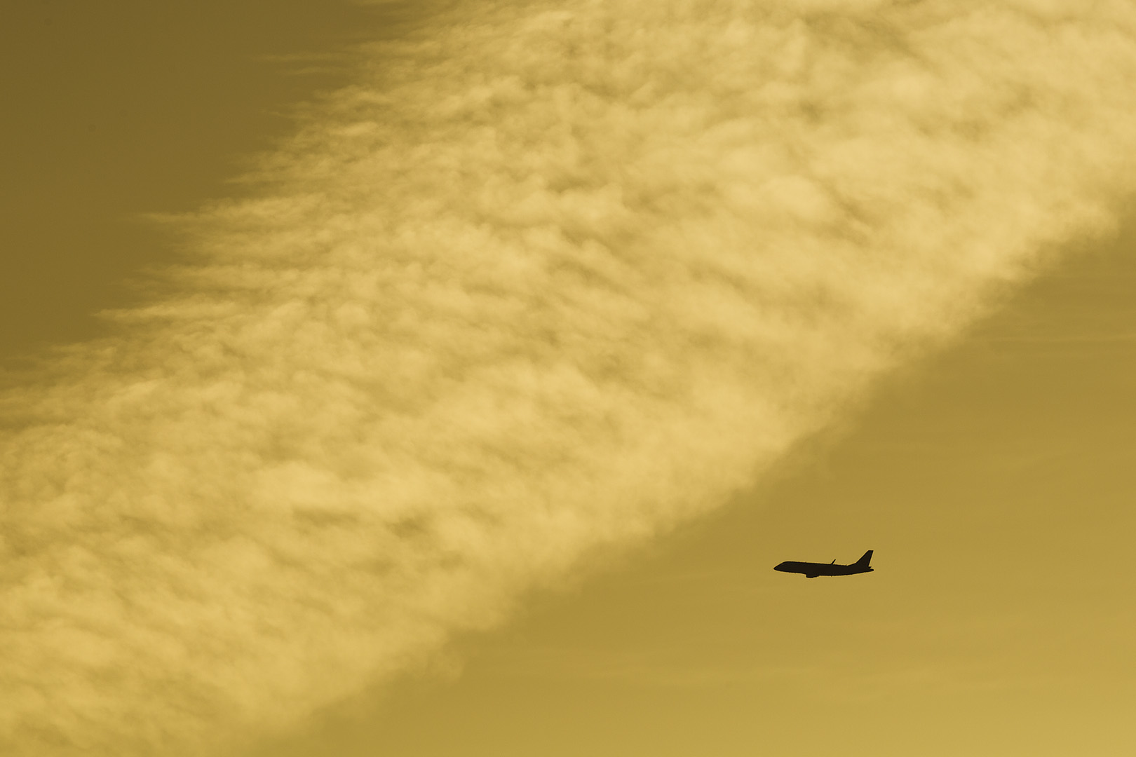飛行機　夕焼け （伊丹空港 千里川）_a0003166_12504764.jpg