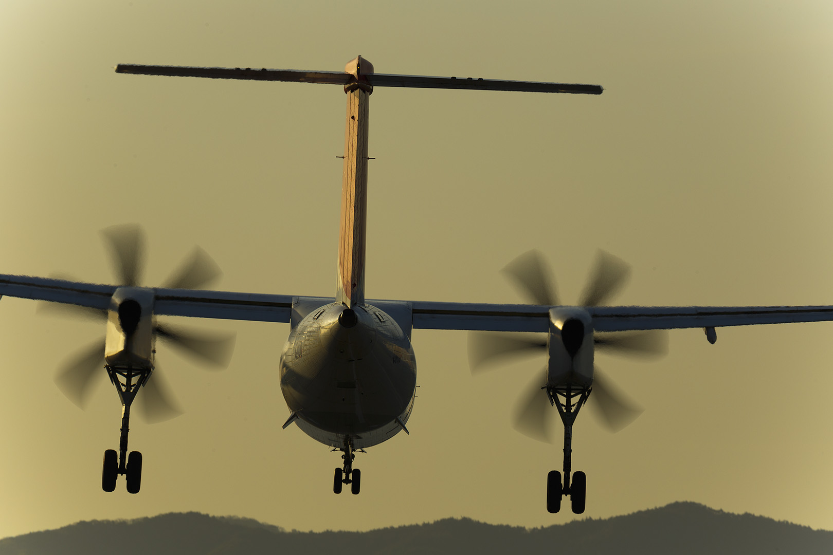 飛行機　夕焼け （伊丹空港 千里川）_a0003166_12504877.jpg