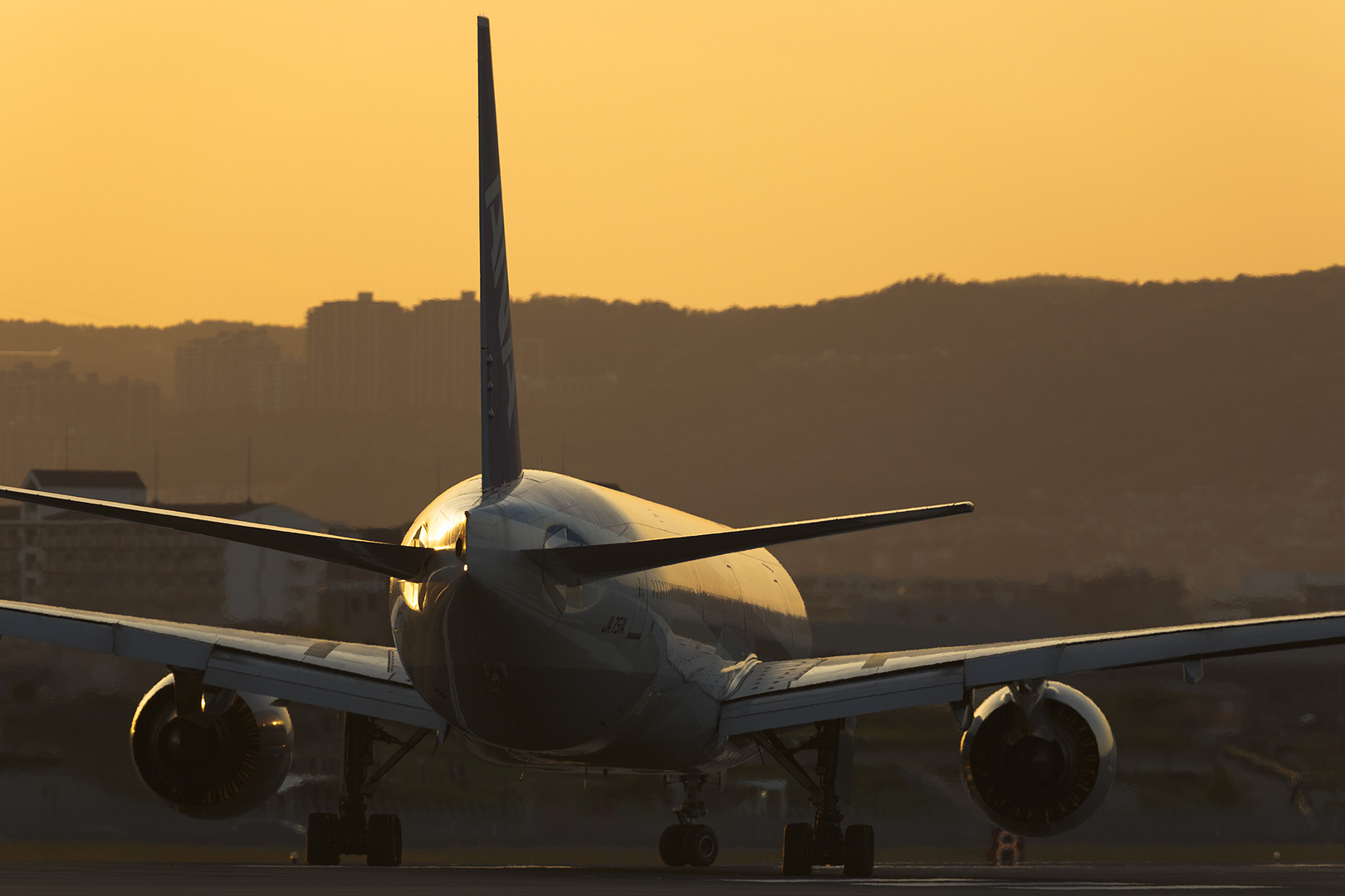 飛行機　夕焼け （伊丹空港 千里川）_a0003166_12504960.jpg