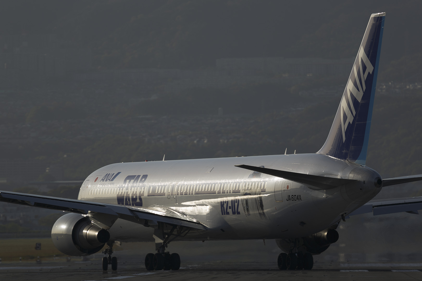 飛行機　夕焼け （伊丹空港 千里川）_a0003166_12505061.jpg