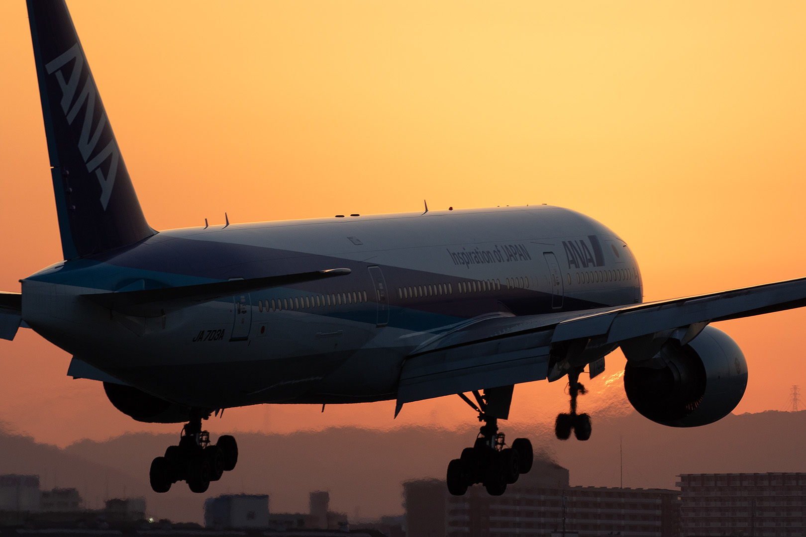 飛行機 夕焼け（伊丹空港 千里川）_a0003166_12530456.jpg