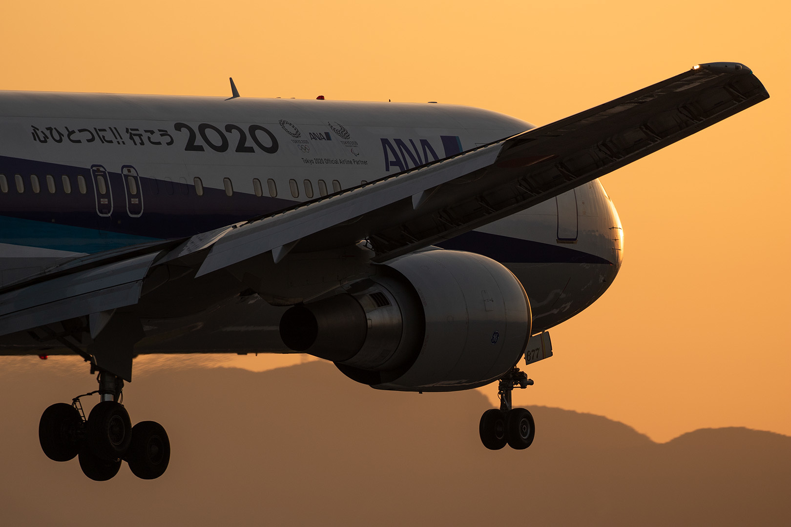 飛行機 夕焼け（伊丹空港 千里川）_a0003166_12530591.jpg