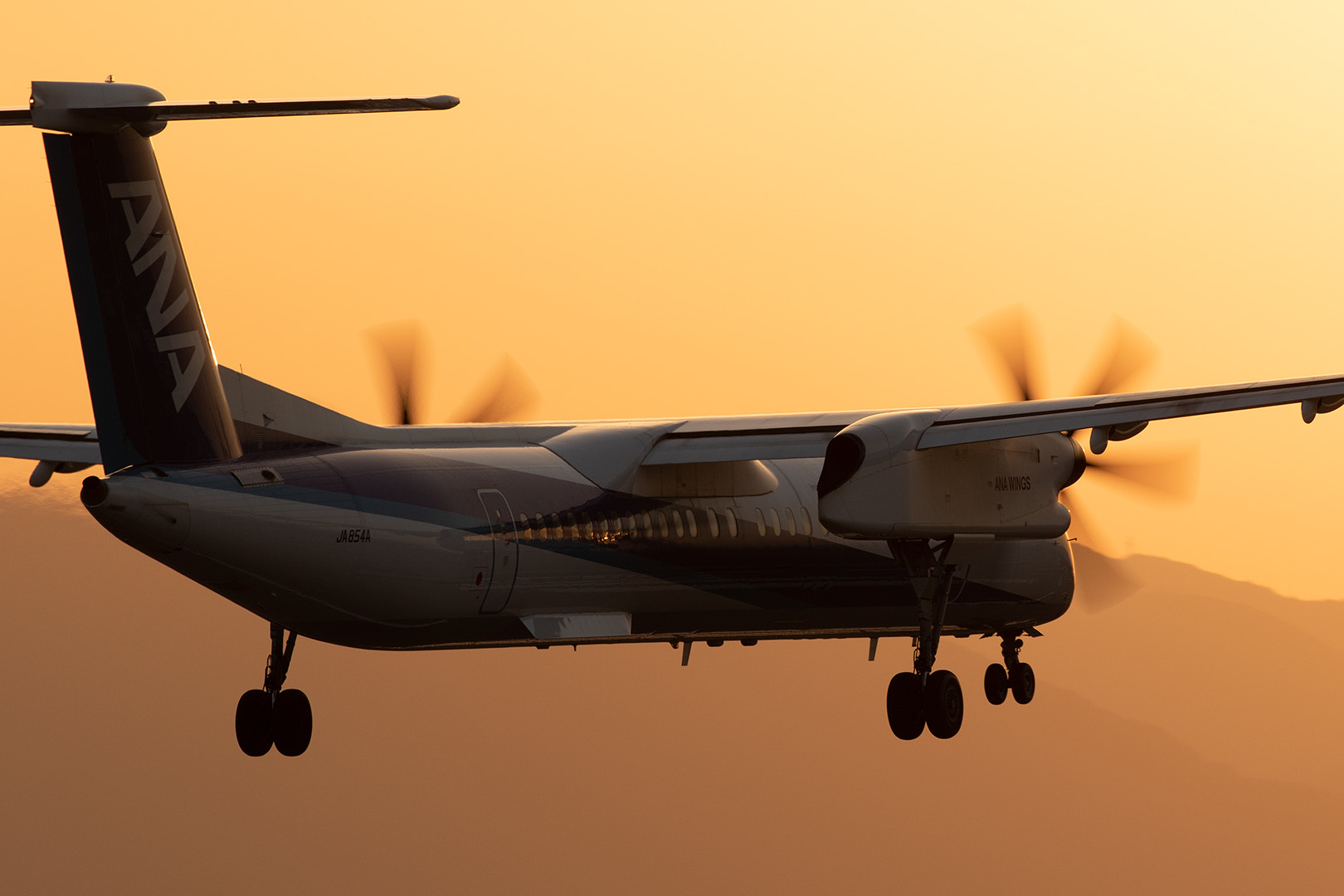 飛行機 夕焼け（伊丹空港 千里川）_a0003166_12534603.jpg