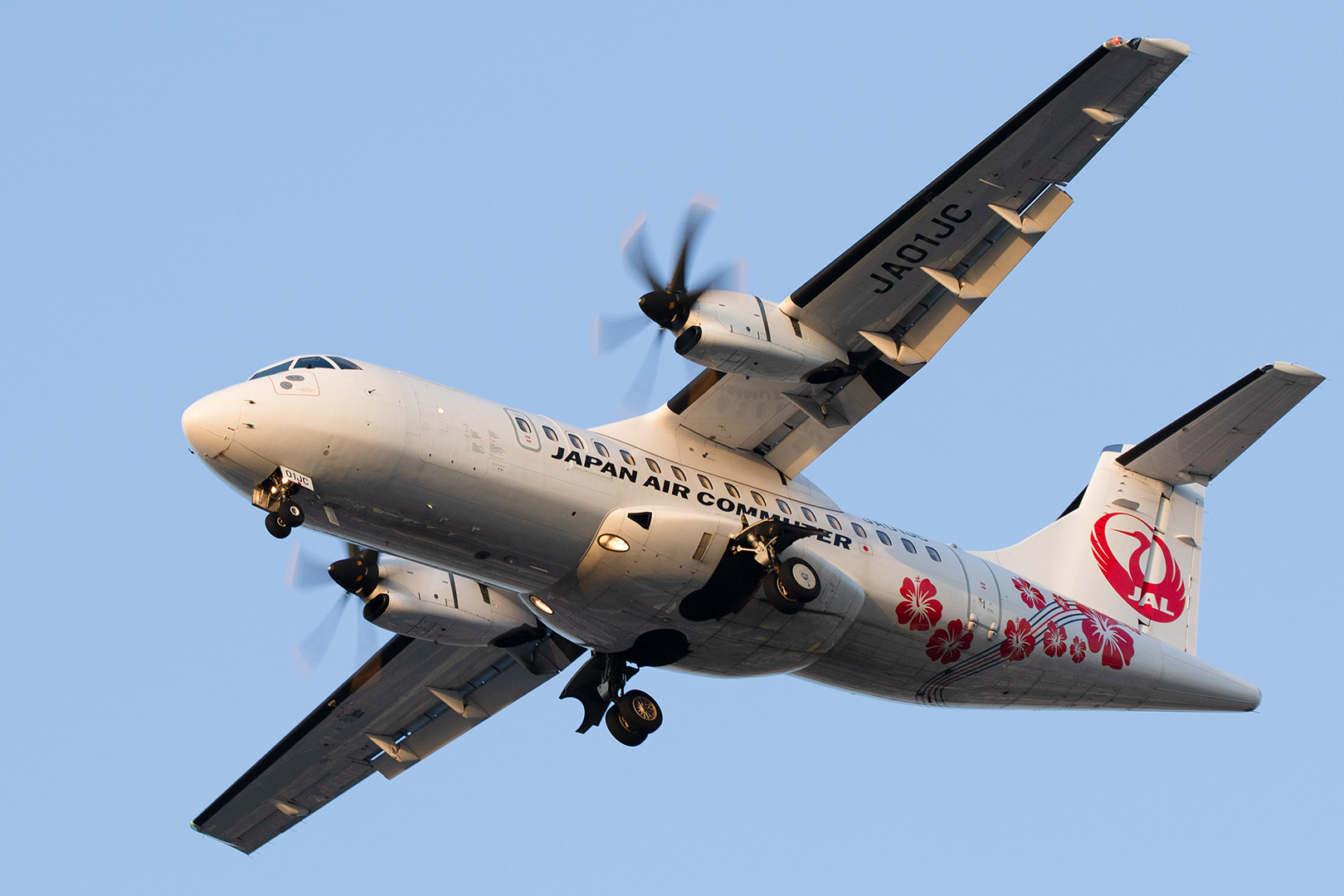 飛行機 夕焼け（伊丹空港 千里川）_a0003166_12534734.jpg