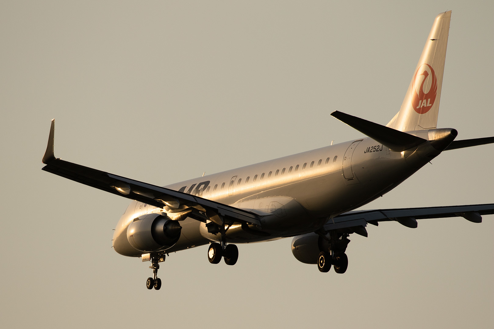 飛行機 夕焼け（伊丹空港 千里川）_a0003166_12534796.jpg