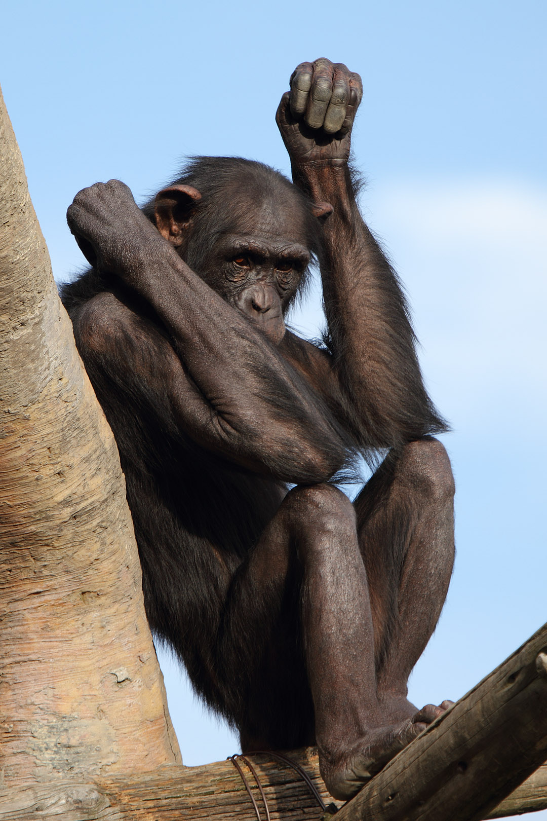 天王寺動物園_a0003166_1257545.jpg